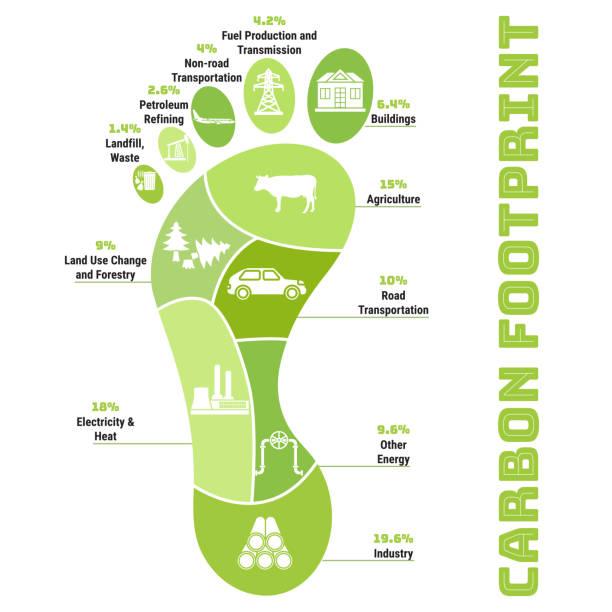 A diagram of carbon footprint

Description automatically generated